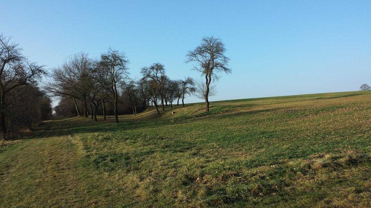 Hotel Bad Langensalza Eichenhof ภายนอก รูปภาพ