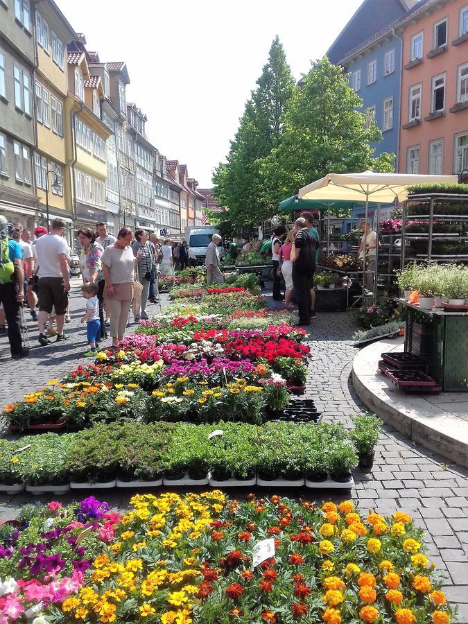 Hotel Bad Langensalza Eichenhof ภายนอก รูปภาพ